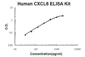 Human CXCL6/GCP2 PicoKine ELISA Kit standard curve