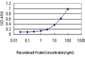 Detection limit for recombinant GST tagged DAZ1 is approximately 1ng/ml as a capture antibody. (DAZ1 Antikörper  (AA 21-120))