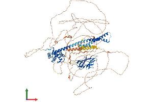 Protein Structure (PS) image for Caprin Family Member 2 (CAPRIN2) (AA 1-1127) protein (His tag) (ABIN7552800)