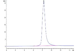 The purity of Mouse RANKL is greater than 95 % as determined by SEC-HPLC. (RANKL Protein (AA 70-316) (His tag))