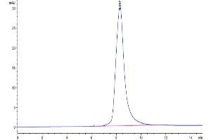 The purity of Mouse RANKL is greater than 95 % as determined by SEC-HPLC. (RANKL Protein (AA 70-316) (His tag))