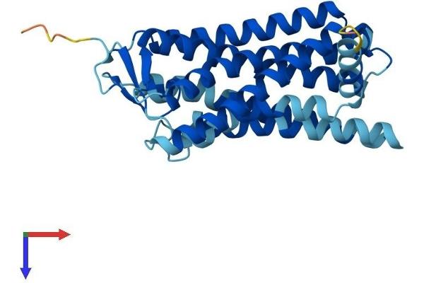 OR4D1 Protein (AA 1-310) (His tag)