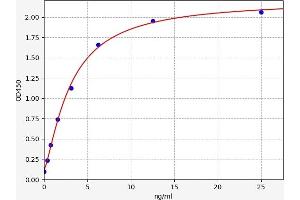 ACE2 ELISA Kit