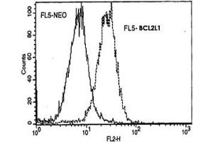 Murine FL5 cells (FL5-NEO) and FL5 cells transfected with BCL2L1 expression plasmid (FL5-BCL2L1) were fixed with buffered paraformaldehyde and then permeabilized with saponin.