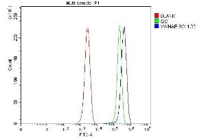 Flow Cytometry analysis of ANA-1 cells using anti-YWHAE antibody (ABIN7599165).