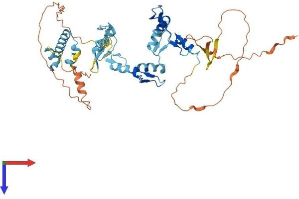 ZNF621 Protein (AA 1-439) (His tag)