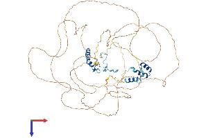 NOLC1 Protein (AA 1-699) (His tag)
