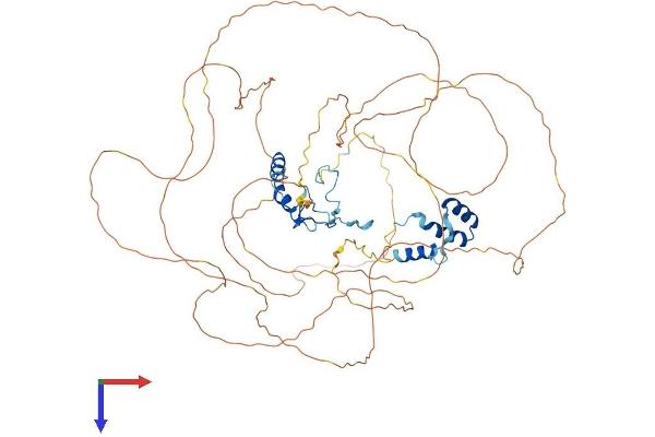 NOLC1 Protein (AA 1-699) (His tag)