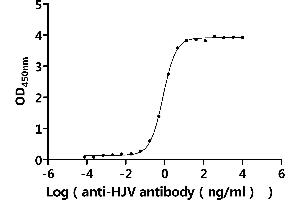Measured by its binding ability in a functional ELISA.