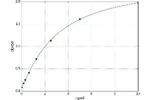 Aryl Hydrocarbon Receptor Nuclear Translocator (ARNT) ELISA Kit