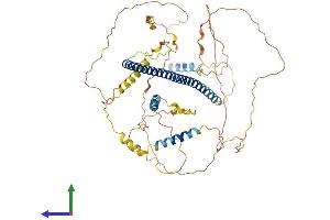 Protein Structure (PS) image for Histone Deacetylase 9 (HDAC9) (AA 1-588) protein (His tag) (ABIN7564911)
