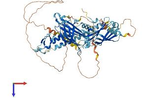 SYTL3 Protein (AA 1-607) (His tag)