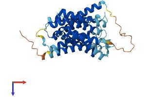 Solute Carrier Family 35, Member A4 (SLC35A4) (AA 1-324) protein (His tag)