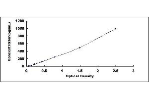 Typical standard curve (FGF12 ELISA Kit)