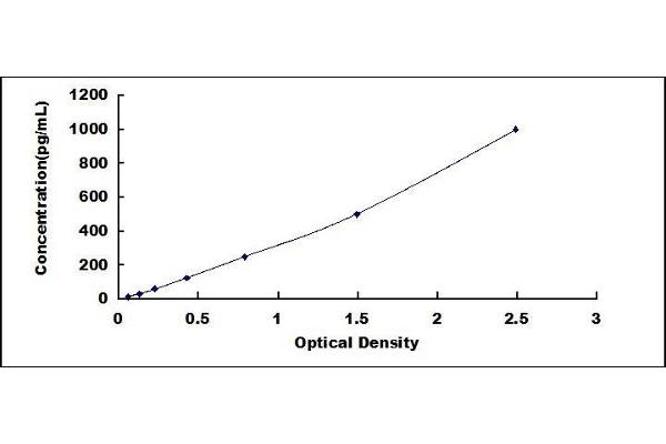 FGF12 ELISA Kit