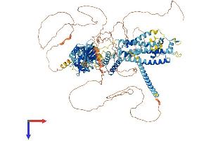KCNH8 Protein (AA 1-1102) (His tag)
