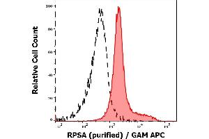 Separation of MOLT-4 cells stained using anti-RPSA (RP-01) purified antibody (concentration in sample 9 μg/mL, GAM APC, red-filled) from MOLT-4 unstained by primary antibody (GAM APC, black-dashed) in flow cytometry analysis (intracellular staining). (RPSA/Laminin Receptor Antikörper)