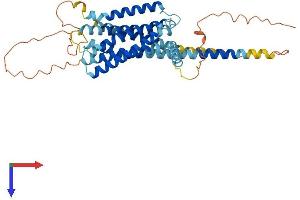 GPR22 Protein (AA 1-433) (His tag)