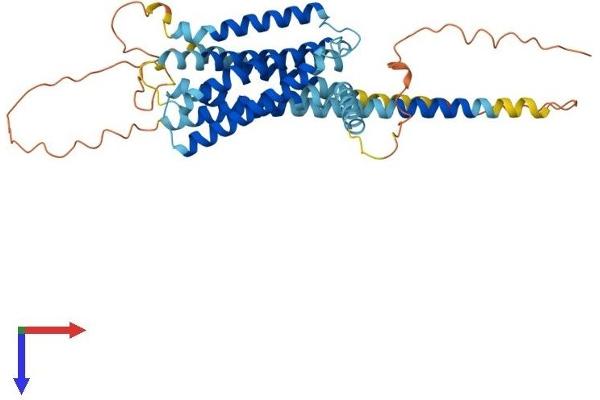 GPR22 Protein (AA 1-433) (His tag)
