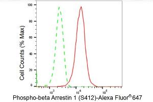 Flow cytometric analysis of Phospho-beta Arrestin 1 (S412) expression in HepG2 cells using Phospho-beta Arrestin 1 (S412) antibody (ABIN7797654), 1:2,000). (Rekombinanter beta Arrestin 1 Antikörper  (pSer412))