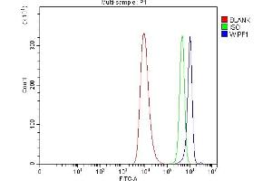 Flow Cytometry analysis of HEL cells using anti-WIPF1 antibody (ABIN7602942).