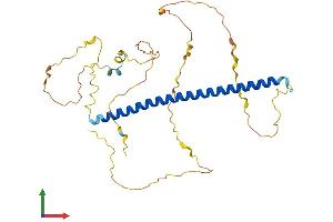 Protein Structure (PS) image for FOS-Like Antigen 2 (FOSL2) (AA 1-326) protein (His tag) (ABIN7563295)