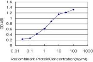 Detection limit for recombinant GST tagged ULK2 is approximately 0. (ULK2 Antikörper  (AA 743-843))