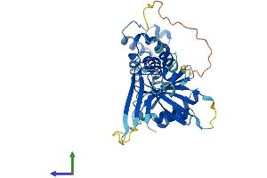 Protein Structure (PS) image for Centromere Protein N (CENPN) (AA 1-339) protein (His tag) (ABIN7553170)