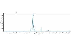 The purity of Anti-IGF1R / CD221 Reference Antibody (teprotumumab) is 96.