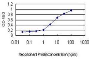 Detection limit for recombinant GST tagged SMAD5 is approximately 0. (SMAD5 Antikörper  (AA 105-182))