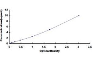 SLC30A7 ELISA Kit