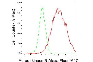 Flow cytometric analysis of Aurora kinase B expression in HAP-1 cells using Aurora kinase B antibody (ABIN7797704), 1:2,000). (Rekombinanter Aurora Kinase B Antikörper)