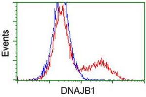 HEK293T cells transfected with either RC201762 overexpress plasmid (Red) or empty vector control plasmid (Blue) were immunostained by anti-DNAJB1 antibody (ABIN2454177), and then analyzed by flow cytometry. (DNAJB1 Antikörper)