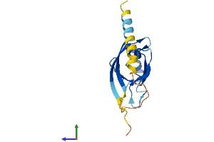 Protein Structure (PS) image for Synaptojanin 2 Binding Protein (SYNJ2BP) (AA 1-145) protein (His tag) (ABIN7561048)