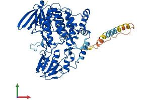 Protein Structure (PS) image for Flavin Containing Monooxygenase 4 (FMO4) (AA 1-560) protein (His tag) (ABIN7559922)
