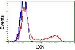 Flow Cytometry (FACS) image for anti-Latexin (LXN) antibody (ABIN1499099)