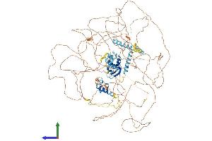 Protein Structure (PS) image for RNA Binding Motif Protein 20 (RBM20) (AA 1-1199) protein (His tag) (ABIN7563743)