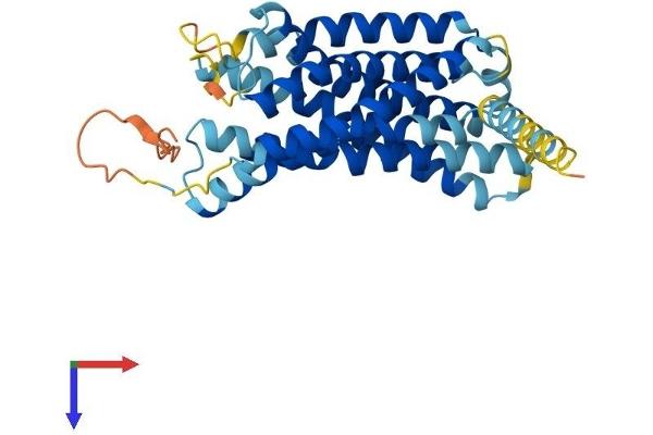 P2RY10 Protein (AA 1-339) (His tag)