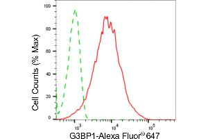 Flow cytometric analysis of G3BP1 expression in HepG2 cells using G3BP1 antibody (ABIN7798816), 1:2,000). (Rekombinanter G3BP1 Antikörper)