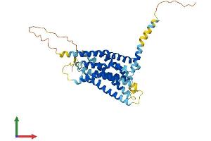 Protein Structure (PS) image for Mesothelin (MSLN) (AA 1-375) protein (His tag) (ABIN7564400)