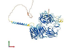 Protein Structure (PS) image for Transmembrane Protease, Serine 7 (TMPRSS7) (AA 1-829) protein (His tag) (ABIN7558681)