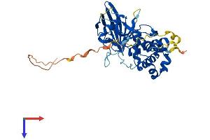 PTPN7 Protein (AA 1-360) (His tag)