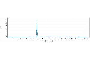 anti-Prokineticin Receptor 1 (PROKR1) antibody