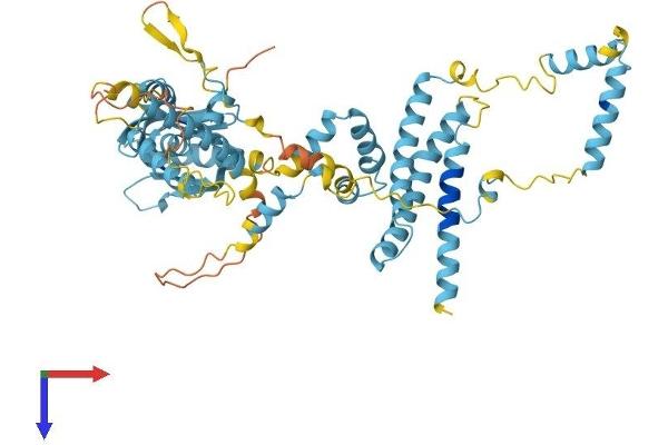 GTF2H1 Protein (AA 1-547) (His tag)