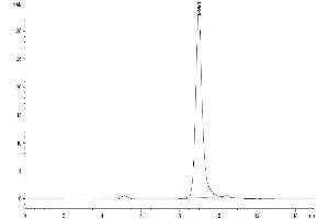 The purity of Biotinylated Human PLAU/uPA (activated by trypsin) is greater than 95 % as determined by SEC-HPLC. (PLAU Protein (AA 21-431) (His-Avi Tag,Biotin))