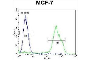 RNF19B Antibody (Center) flow cytometric analysis of MCF-7 cells (right histogram) compared to a negative control cell (left histogram). (RNF19B Antikörper  (Middle Region))
