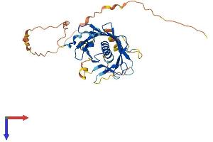 PLSCR1 Protein (AA 1-328) (His tag)