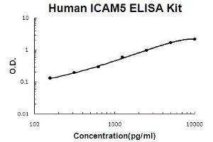Human ICAM5 PicoKine ELISA Kit standard curve (ICAM5 ELISA Kit)