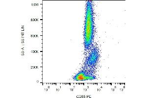 Flow cytometry analysis (surface staining) of human peripheral blood cells with anti-CD55 (MEM-118) PE. (CD55 Antikörper  (PE))