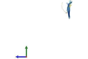 Protein Structure (PS) image for Chromosome 10 Open Reading Frame 96 (C10orf96) (AA 1-267) protein (His tag) (ABIN7558476)